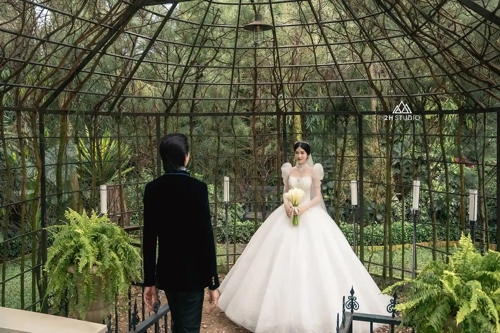 phim trường vũ garden
