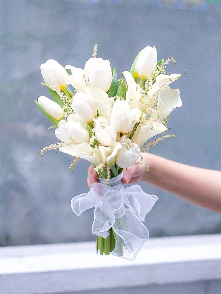 Hoa Calla Lily