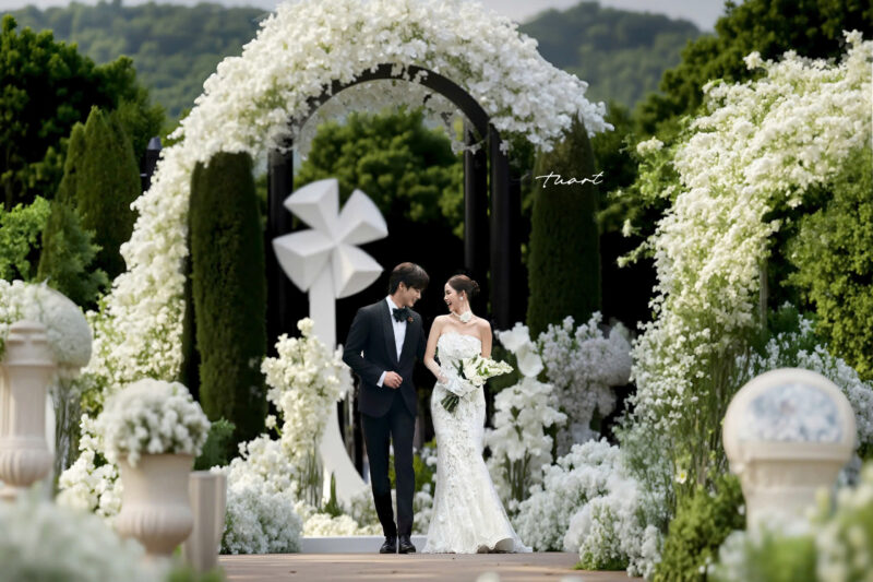 Concept sang trọng giữa rừng thông 