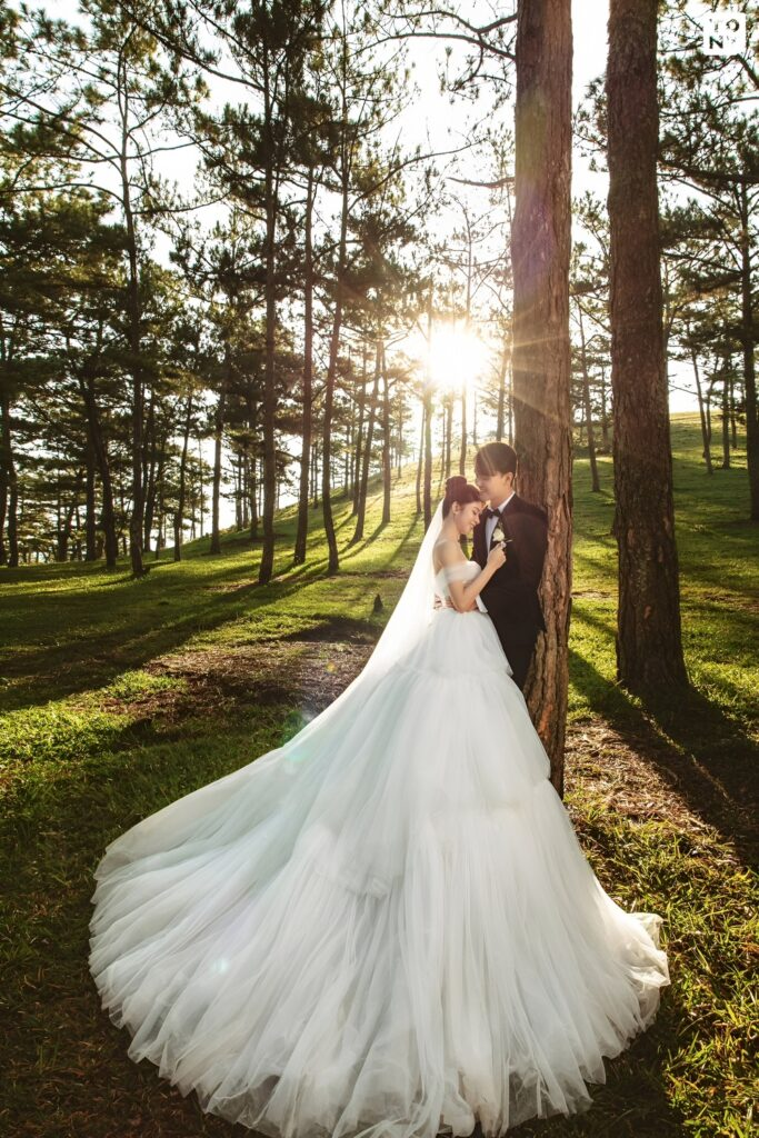Chụp ảnh cưới ở rừng thông đẹp