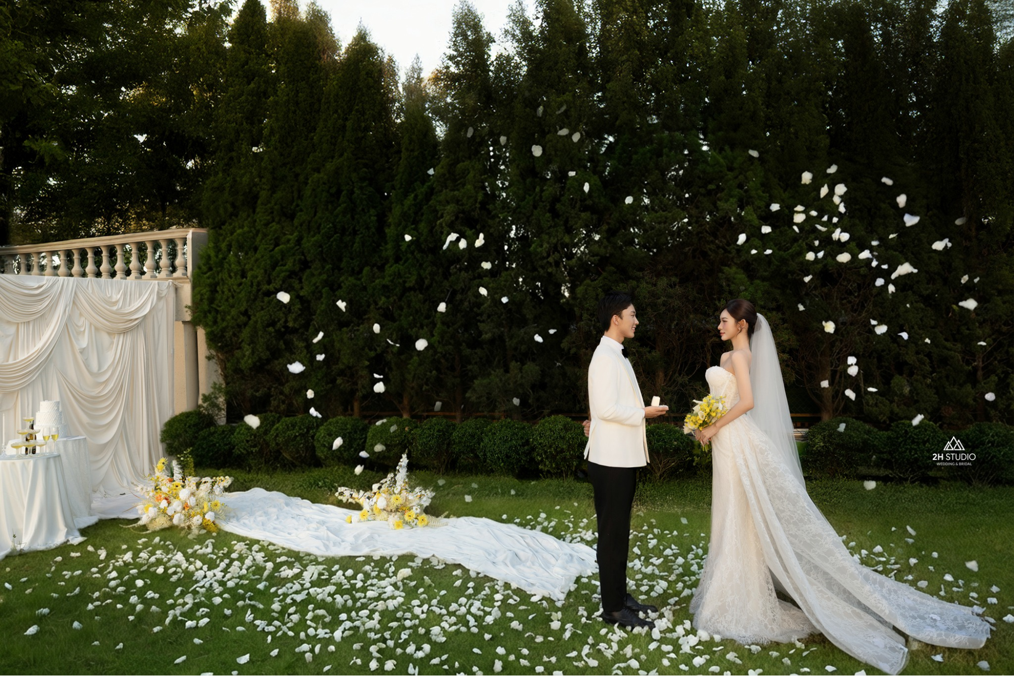 Chụp ảnh cưới ở rừng thông style Hàn Quốc