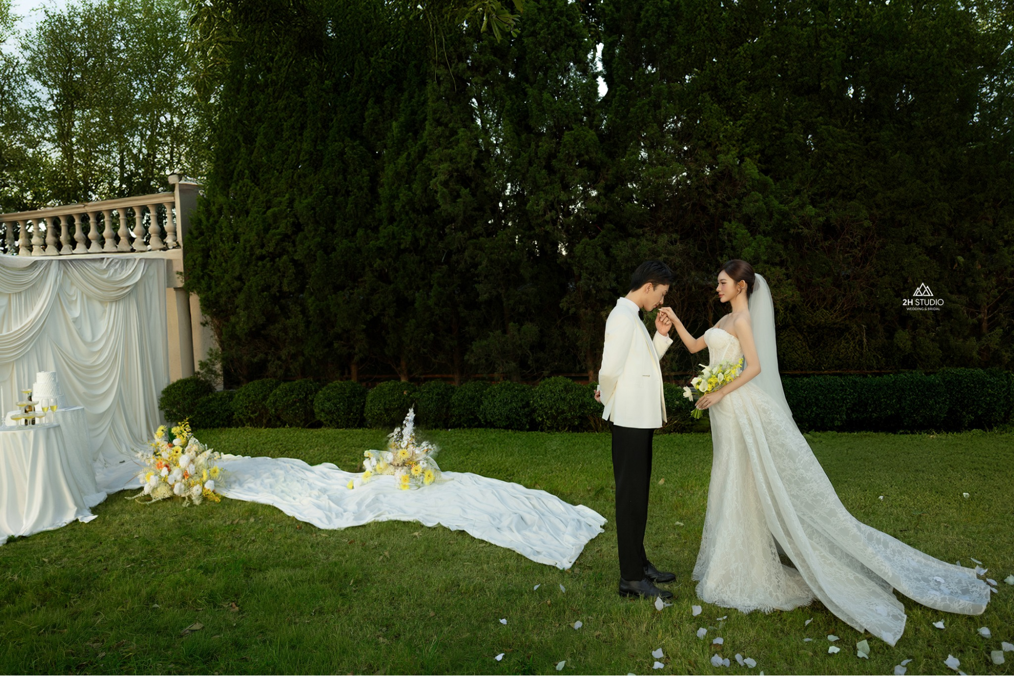 Chụp ảnh cưới ở rừng thông style Hàn Quốc